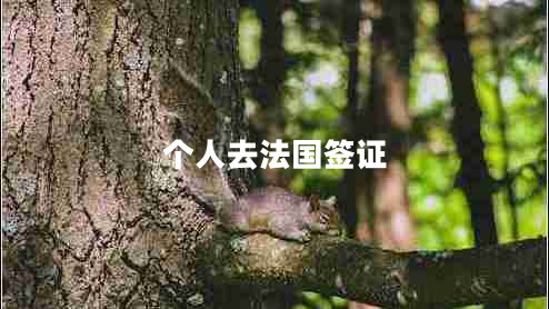 個(gè)人去法國(guó)簽證 個(gè)人去法國(guó)簽證