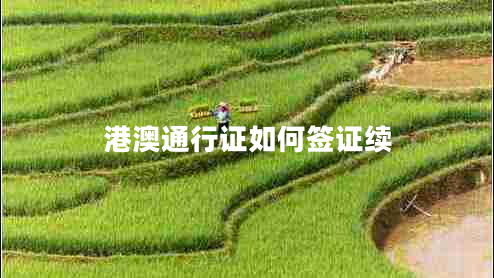 港澳通行證如何簽證續(xù)