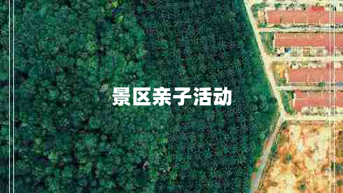 景區(qū)親子活動 景區(qū)親子活動