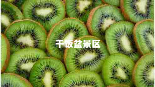 干飯盆景區(qū)