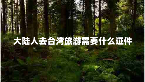 大陸人去臺(tái)灣旅游需要什么證件