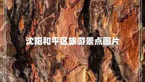 沈陽(yáng)和平區(qū)旅游景點(diǎn)圖片 沈陽(yáng)和平區(qū)旅游景點(diǎn)圖片