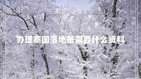 辦理泰國落地簽需要什么資料 辦理泰國落地簽需要什么資料