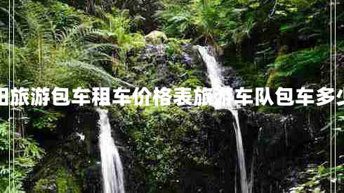 貴州貴陽旅游包車租車價格表旅游車隊包車多少錢一天