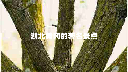 湖北黃岡的著名景點(diǎn)