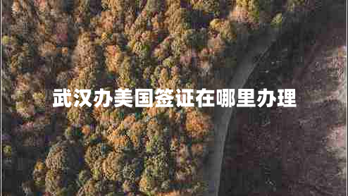 武漢辦美國簽證在哪里辦理 武漢辦美國簽證在哪里辦理