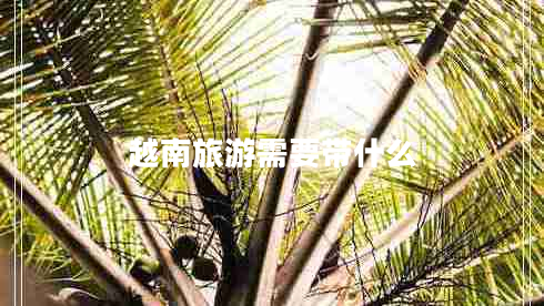 越南旅游需要帶什么