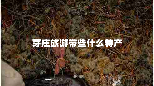 芽莊旅游帶些什么特產