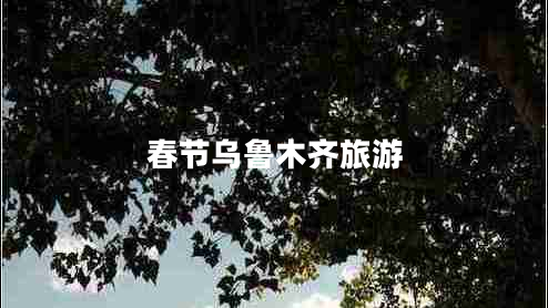 春節(jié)烏魯木齊旅游 春節(jié)烏魯木齊旅游