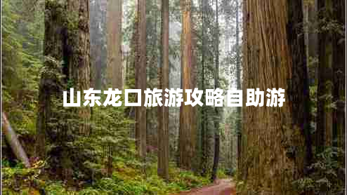 山東龍口旅游攻略自助游 山東龍口旅游攻略自助游