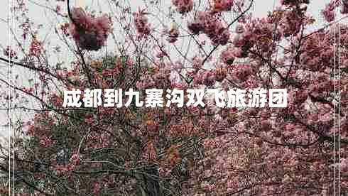 成都到九寨溝雙飛旅游團(tuán)
