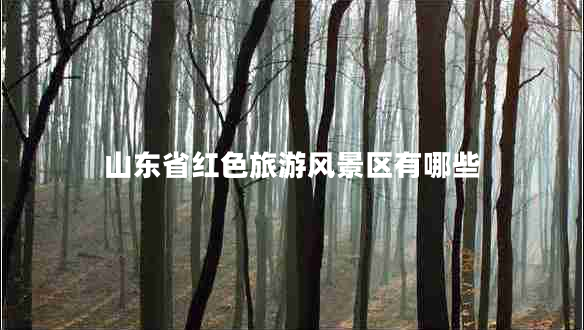 山東省紅色旅游風(fēng)景區(qū)有哪些