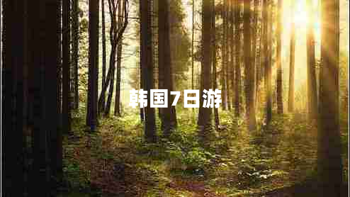 韓國7日游 韓國7日游