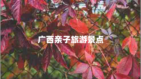 廣西親子旅游景點(diǎn)