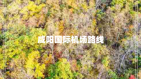 咸陽(yáng)國(guó)際機(jī)場(chǎng)路線