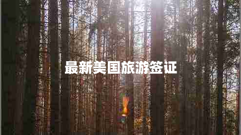 最新美國旅游簽證 最新美國旅游簽證
