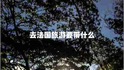 去法國(guó)旅游要帶什么 去法國(guó)旅游要帶什么