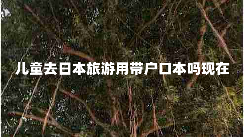 兒童去日本旅游用帶戶口本嗎現(xiàn)在 兒童去日本旅游用帶戶口本嗎現(xiàn)在