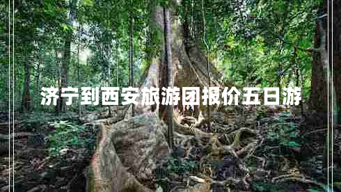 濟寧到西安旅游團報價五日游 濟寧到西安旅游團報價五日游