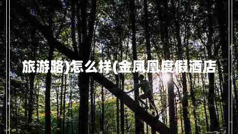 旅游路)怎么樣(金鳳凰度假酒店 旅游路)怎么樣(金鳳凰度假酒店