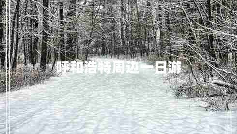 呼和浩特周邊一日游 呼和浩特周邊一日游