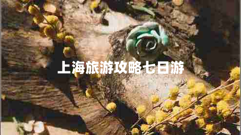 上海旅游攻略七日游 上海旅游攻略七日游