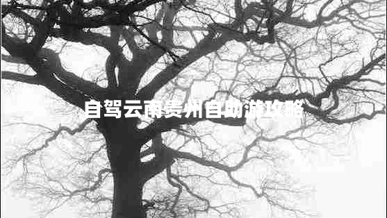 自駕云南貴州自助游攻略 自駕云南貴州自助游攻略