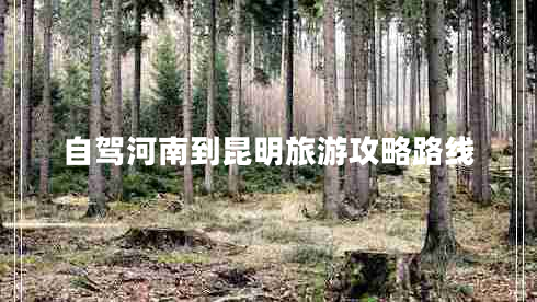 自駕河南到昆明旅游攻略路線 自駕河南到昆明旅游攻略路線