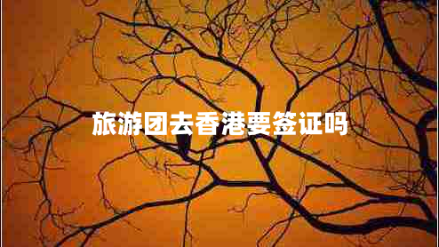 旅游團(tuán)去香港要簽證嗎 旅游團(tuán)去香港要簽證嗎