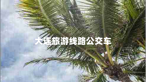 大連旅游線路公交車