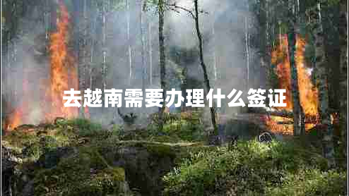 去越南需要辦理什么簽證 去越南需要辦理什么簽證