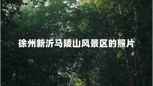 徐州新沂馬陵山風(fēng)景區(qū)的照片 徐州新沂馬陵山風(fēng)景區(qū)的照片