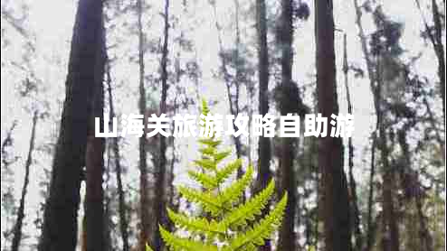 山海關(guān)旅游攻略自助游