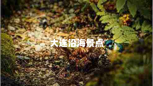 大連沿海景點(diǎn)