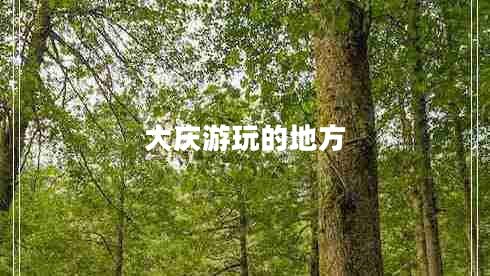 大慶游玩的地方