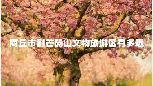 商丘市到芒碭山文物旅游區(qū)有多遠 商丘市到芒碭山文物旅游區(qū)有多遠