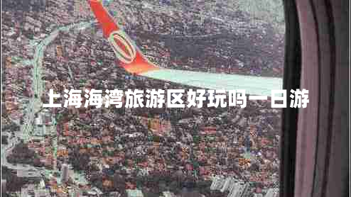 上海海灣旅游區(qū)好玩嗎一日游