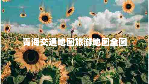 青海交通地圖旅游地圖全圖