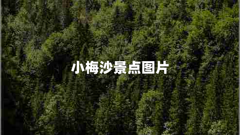 小梅沙景點(diǎn)圖片 小梅沙景點(diǎn)圖片