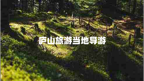 廬山旅游當地導游