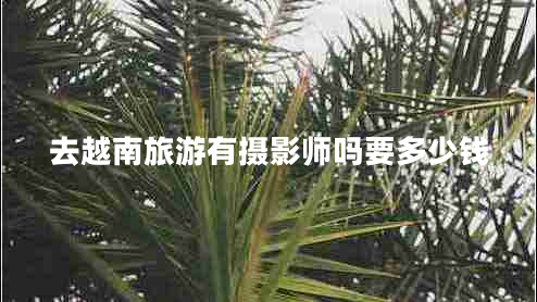 去越南旅游有攝影師嗎要多少錢 去越南旅游有攝影師嗎要多少錢