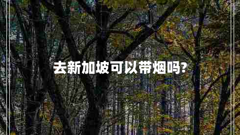 去新加坡可以帶煙嗎?