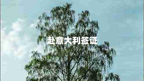 赴意大利簽證 赴意大利簽證