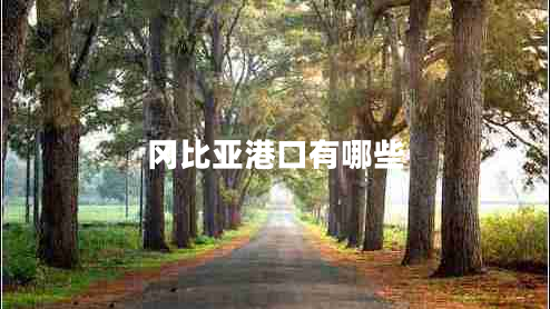 岡比亞港口有哪些 岡比亞港口有哪些