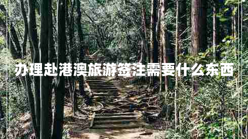 辦理赴港澳旅游簽注需要什么東西 辦理赴港澳旅游簽注需要什么東西