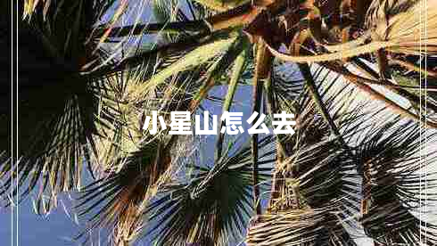 小星山怎么去 小星山怎么去