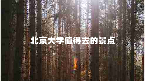 北京大學(xué)值得去的景點(diǎn) 北京大學(xué)值得去的景點(diǎn)