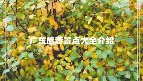 廣東旅游景點(diǎn)大全介紹 廣東旅游景點(diǎn)大全介紹