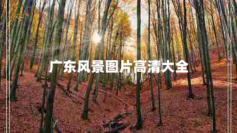 廣東風(fēng)景圖片高清大全 廣東風(fēng)景圖片高清大全