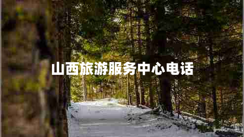 山西旅游服務(wù)中心電話 山西旅游服務(wù)中心電話